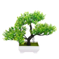 Plastic Bonsai
