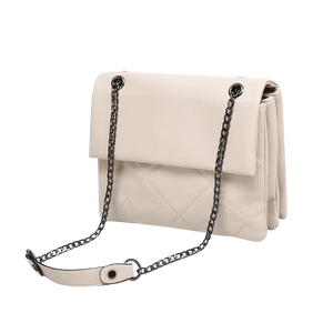 Double Chain Shoulder Bag