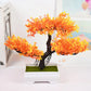 Plastic Bonsai