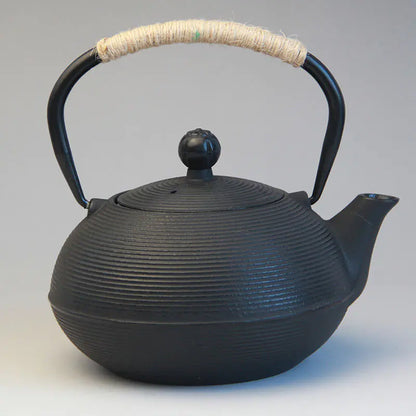 Japanese Cast Iron Teapot