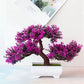 Plastic Bonsai