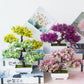 Plastic Bonsai