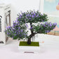 Plastic Bonsai