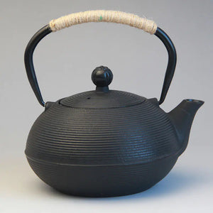 Japanese Cast Iron Teapot