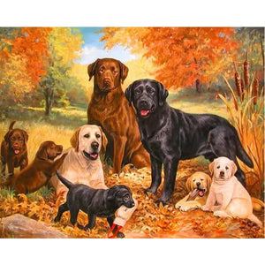 DIY Chiens
