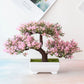 Plastic Bonsai